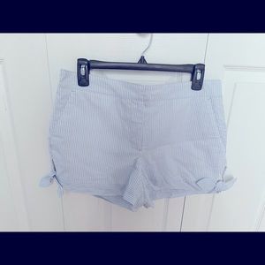 LOFT Blue and White Striped Women Shorts